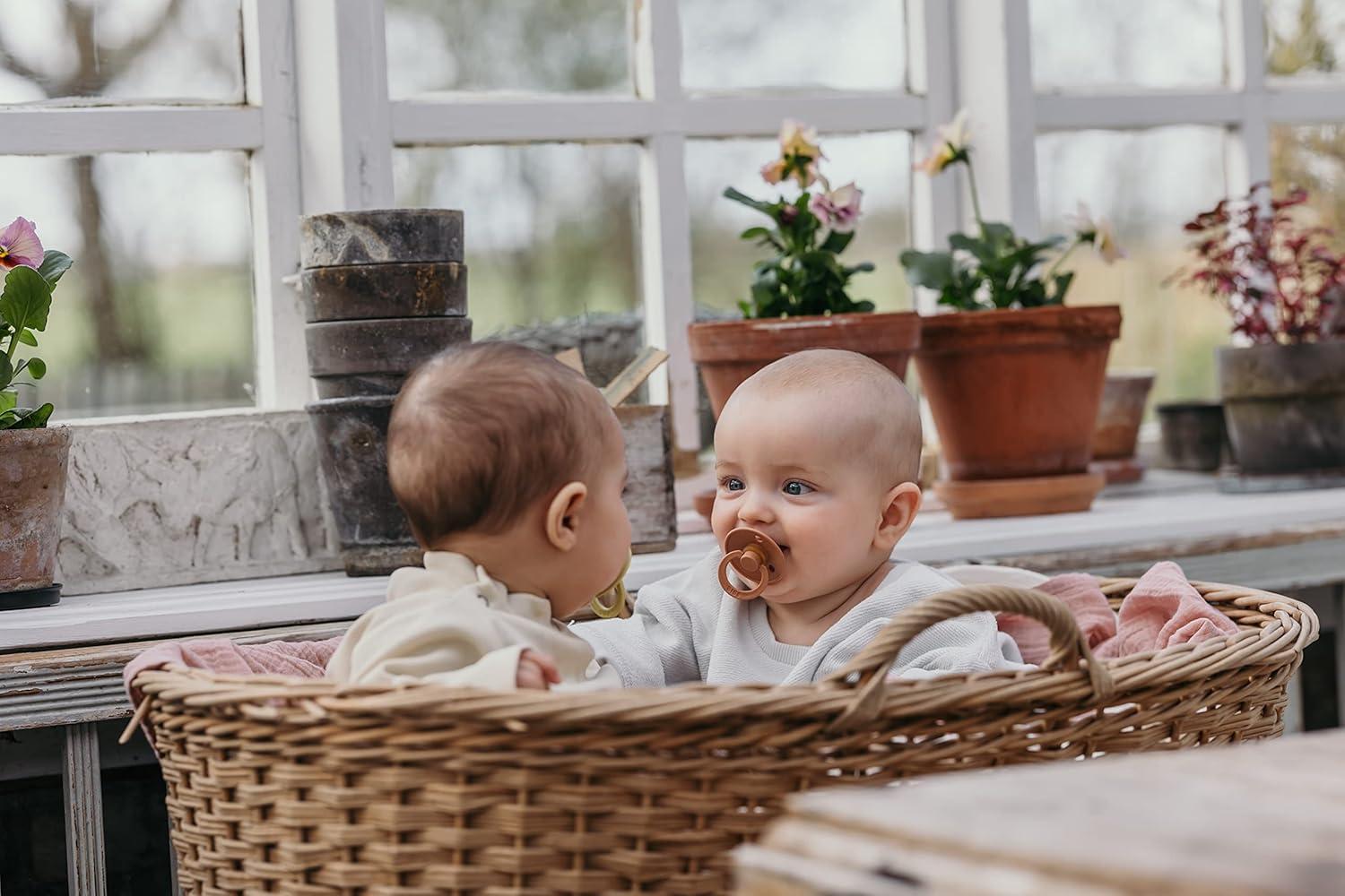 image:imageBIBS Pacifiers 618 Months Colour Collection 2Pack BPAFree Symmetrical Natural Rubber Nipple Made in Denmark VanillaPine Color Pacifier