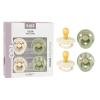 Ivory / Ivory / Sage / Sage