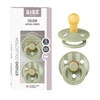 Pin Sage